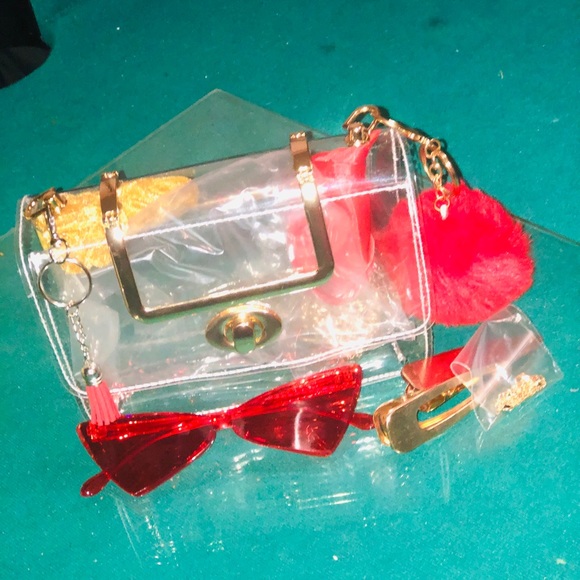 Transparent Purses - Picture 8 of 13